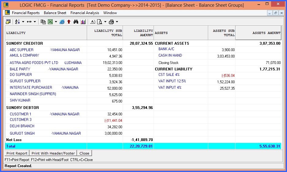 fmcg balance sheet groups